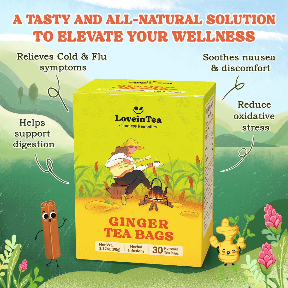 Ginger pyramid tea bags