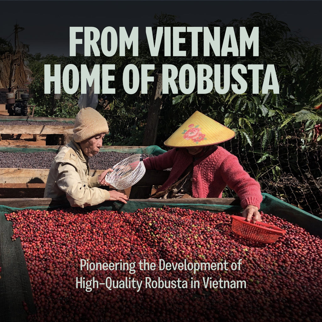 Brewed cup of Fine Robusta